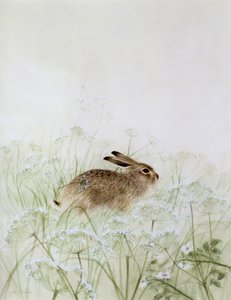 ウサギ 作： Jane Neville