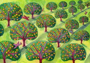 オーチャード 作： Jane Tattersfield