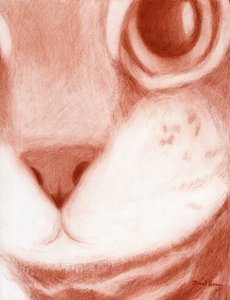アナベルのクローズアップ、2024年（木炭、水彩、紙） 作： Janel Bragg