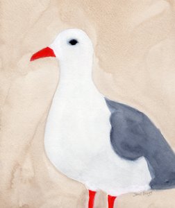 Seagull from Anacortes II, c.2018 (紙に水彩と鉛筆) 作： Janel Bragg
