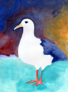 アナコルテスのカモメ no.I, c.2016 （紙に水彩、カゼイン） 作： Janel Bragg
