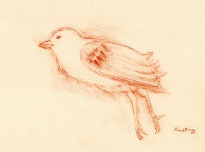  作： ジャネル・ブラッグ