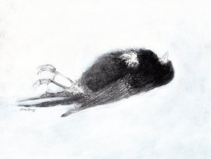  作： ジャネル・ブラッグ