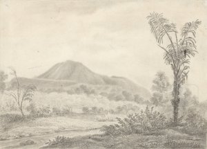 山とヤシのあるジャワの風景
