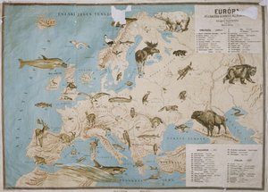 ヨーロッパの動物の地図（カラー彫刻）