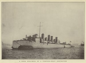 魚雷駆逐艦の優れた標本