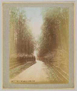 京都・清水の竹林（手彩色のモノクロ写真 作： Japanese Photographer