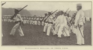 Terra Firmaで掘削するBluejackets 作： Japanese Photographer