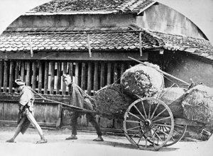 手描きカート、日本、1860年代頃 作： Japanese Photographer