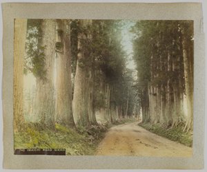日光・今市街道（手彩色のモノクロ写真 作： Japanese Photographer