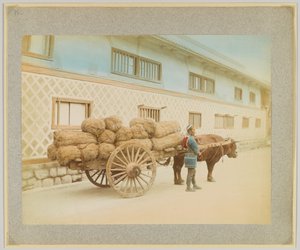 牛と荷車の男（日本）（手彩色白黒写真 作： Japanese Photographer