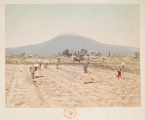 富士山と農地 日本風景カラー写真集より 作： Japanese Photographer
