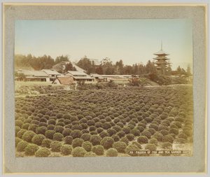 東寺の塔と茶庭（日本・京都）（手彩色白黒写真 作： Japanese Photographer