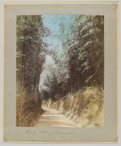 竹林の道（日本）（手彩色のモノクロ写真 作： Japanese Photographer