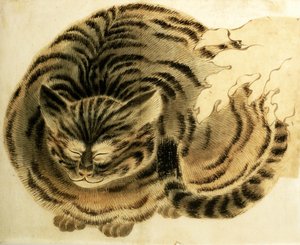眠り猫 1850年頃 （水彩・紙） 作： Japanese Photographer