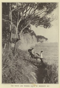 ミシシッピ湾の白く樹木が茂った崖 作： Japanese Photographer