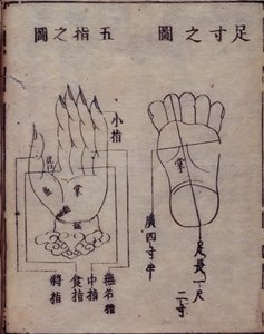 16029.b.5 fol.15v 手と足のツボを示す図、中国の鍼治療書の日本語解説、Hua Shou による 1341 年の Shisijing fahui、京都 作： Japanese School
