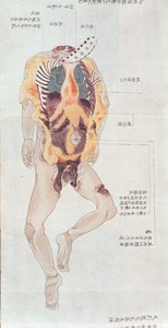 みどり博士の巻物、1842年の拷問の犠牲者の解剖からの骨抜きの体、1842年（紙にペンとインクとトイレ）