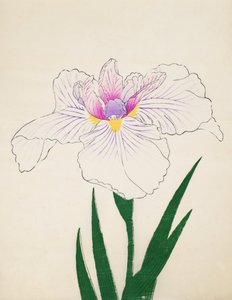 Akashi-no.-Ul, no.10, 1898  作： Japanese School