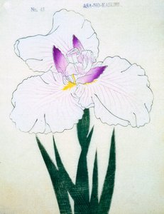Asa-no.-Kasumi, no.43, 1898 