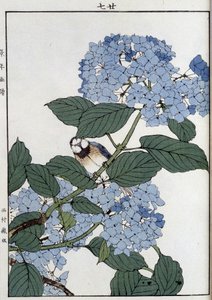 紫陽花の中の鳥 - 日本のプリント 作： Japanese School