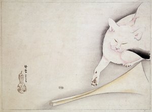 日本画「猫」 19世紀 作： Japanese School