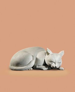 猫、江戸時代後期〜明治初期 作： Japanese School