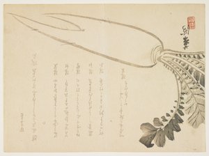 1864年1月大根大根（カラー木版） 作： Japanese School