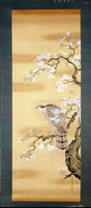 桜の枝に乗った鷹。日本の18世紀の絹絵。ジェノバキオッソーネ美術館。 作： Japanese School