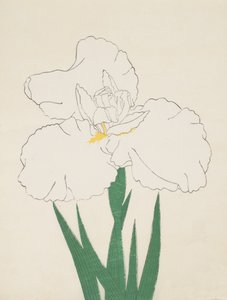 Fuji-No-Yuki, No. 13, 1890 作： Japanese School