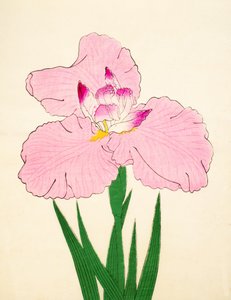 Gaisen, No. 90, 1890 作： Japanese School