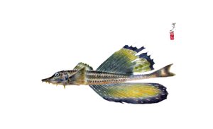 魚拓 作： Japanese School
