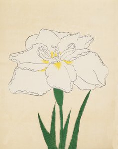 白王殿40号1890年（木版印刷） 作： Japanese School