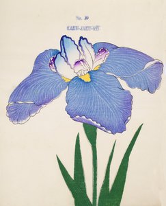 Kaku-Jaku-Ro, no.39, 1898  作： Japanese School