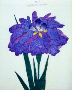 Kamiyo-no.-Mukashi, no.16, 1898  作： Japanese School