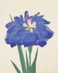 Karako-Asobi, no.42, 1898  作： Japanese School