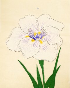 Manu-Zuru, No. 28, 1890 作： Japanese School