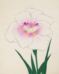 Misuji-no.-Ito, no.17, 1898  作： Japanese School