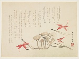 キノコ、カエデの葉、松葉（色木版画） 作： Japanese School