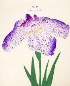 Nanakomachi, no.21, 1898 