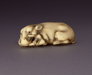 寝転ぶ猪を描いた根付c。 1750-80（ナルワールホーン）（210190も参照） 作： Japanese School