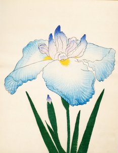 Sazanami, No. 68, 1890