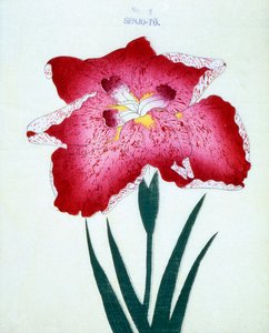 Senjo-To, no.5, 1898  作： Japanese School