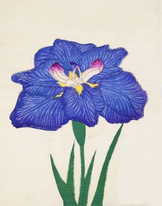 Shiga-no.-Uranami, no.3, 1898  作： Japanese School
