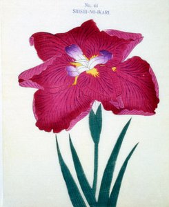 Shishi-no.-Ikari, no.44, 1898  作： Japanese School