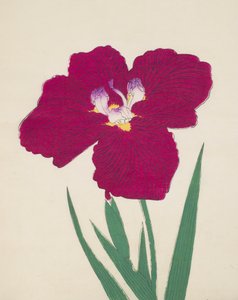 太平楽、1890年1890年（色木版） 作： Japanese School