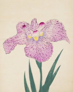 短歌のこえ、1890年1月15日（色木版）