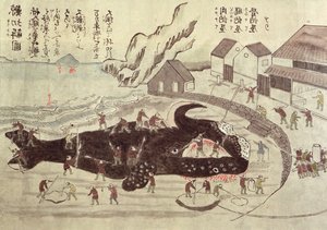 クジラの接合、19世紀後半（カラー彫刻）