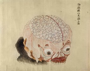 1796年の拷問被害者の解剖からの脳の解剖学、みどり医師の巻物、1842年（紙にペンとインクとトイレ） 作： Japanese School
