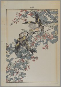 明治時代のピンク色の花を持つ2羽の鳥、1868-1912年頃（カラー木版画） 作： Japanese School